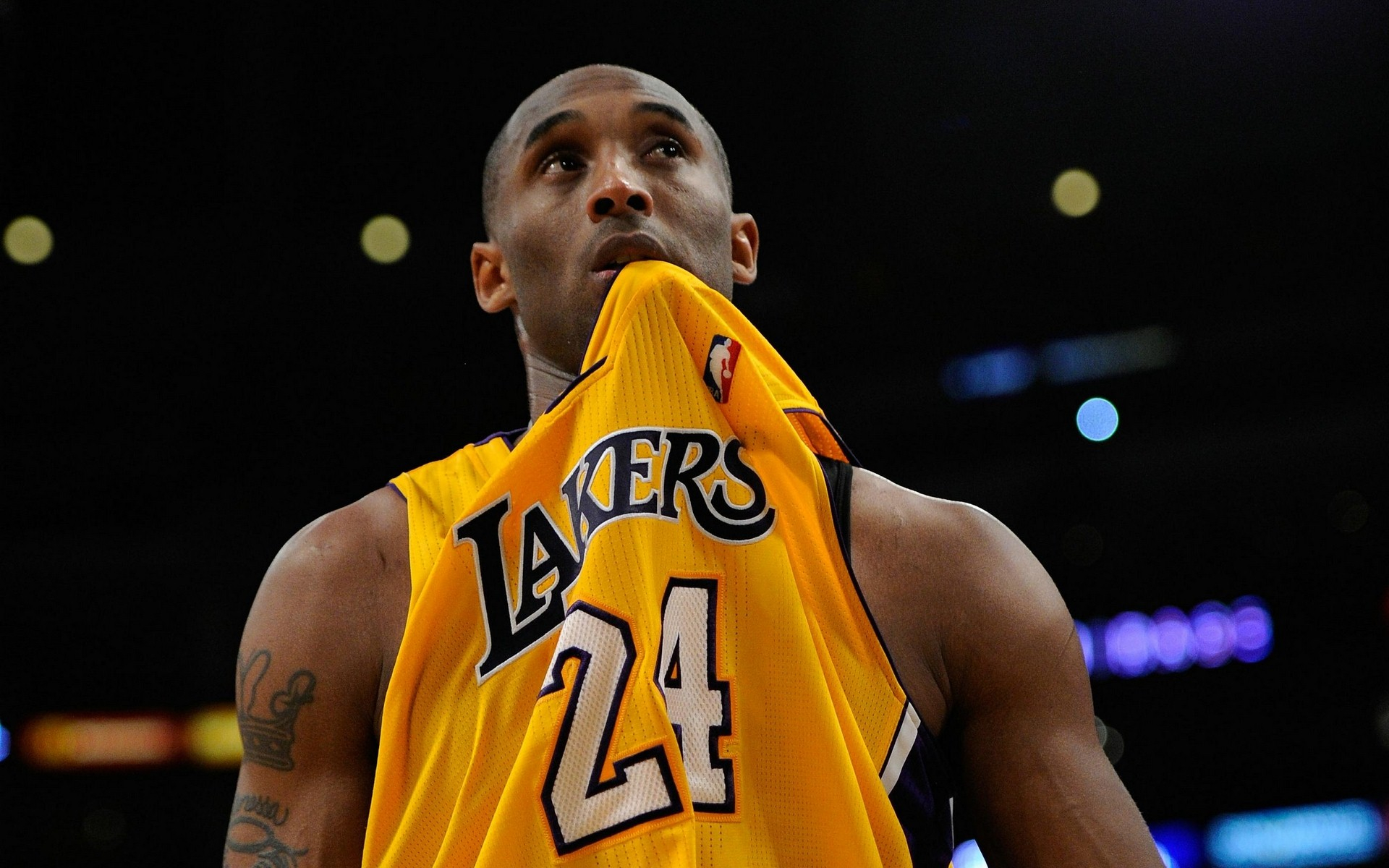 更是一个 更是一个