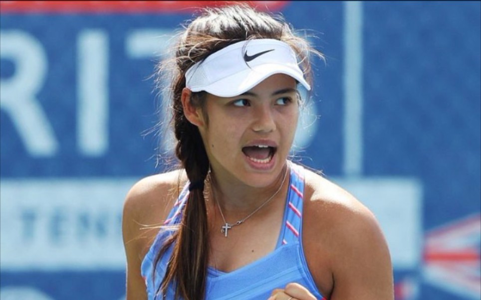 黄蜂的可复 黄蜂的可复